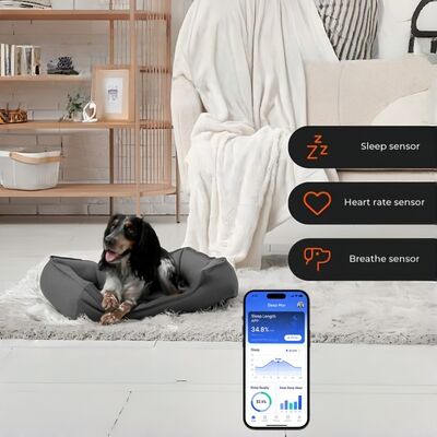 Smart Pet Bed With App Based Real Time Tracking Of Heart Rate Respirasi Dan Tidur Memberikan Wawasan Kesehatan Kelas Veterinary