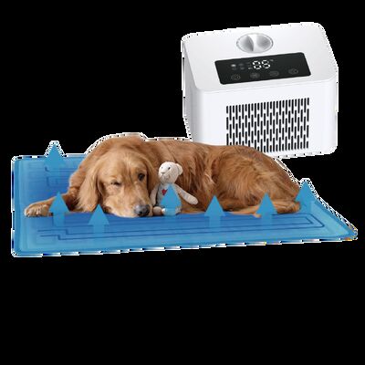 Tempat Tidur Anjing Elektrik dengan Sistem Pendingin Pemanas PTC Ramah Lingkungan Perlindungan Panas Berlebih Sepanjang Musim Tikar Pendingin Rumah Tangga untuk Kucing Anjing