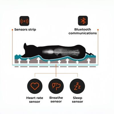 Smart Reptile Pet Bed Health Monitor Track Detak Jantung Detak Pernafasan Tidur Pad Wifi Control Outdoor & Car Use Pet Mat