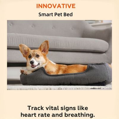 Smart Reptile Pet Bed Health Monitor Track Detak Jantung Detak Pernafasan Tidur Pad Wifi Control Outdoor & Car Use Pet Mat