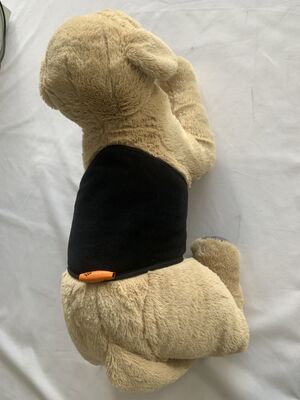 Ikat pinggang hewan peliharaan
