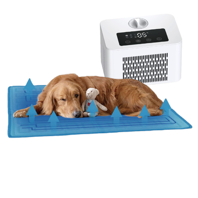 Smart pet bed solusi pendingin hemat energi praktis untuk hewan peliharaan untuk mengalahkan panas musim panas dan menikmati istirahat yang nyaman sepanjang musim