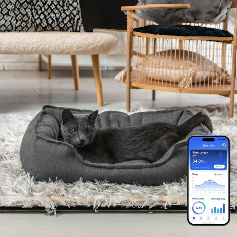 Smart Pet Bed With App Based Real Time Tracking Of Heart Rate Respirasi Dan Tidur Memberikan Wawasan Kesehatan Kelas Veterinary