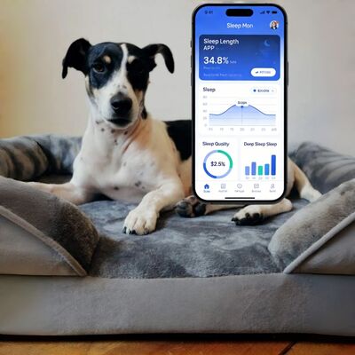 OEM Smart Dog Bed With Health Monitoring, APP Track Sleep/Heart/Breath For Puppy Senior Dog Damai of Mind