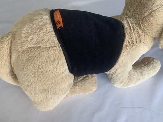 Pet waist belt