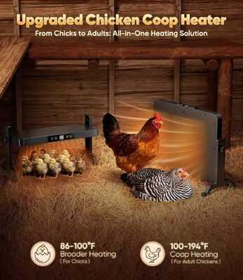 Pemanas kandang ayam yang memberikan pemanasan aman berkelanjutan hingga dua belas jam, ideal untuk semalam di kandang ayam dan ruang pembibitan